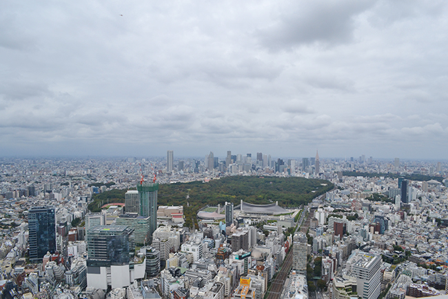 渋谷エリアでもっとも高い屋上展望空間を持つ大型複合施設「渋谷スクランブルスクエア第 I 期（東棟）」が、2019年11月1日（金）10：00にオープン！ 渋谷上空から360度の景色を眺めることができ、見下ろせば渋谷のスクランブル交差点が広がる「SHIBUYA SKY（渋谷スカイ）」「SKY EDGE（スカイ エッジ）」は眺望はもちろん開放感も抜群！子どもと一緒に楽しめる。