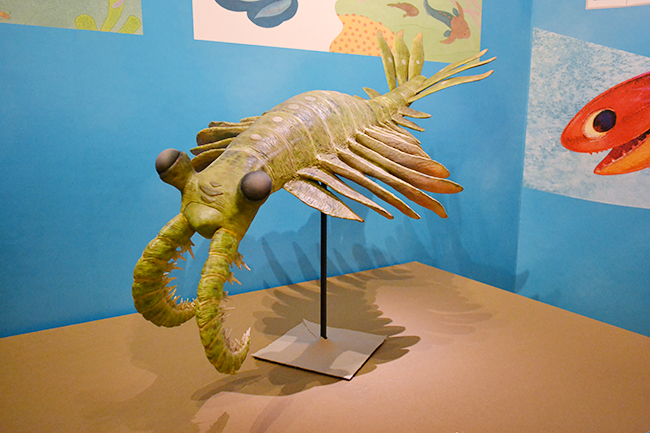 魚類からヒトに進化するまでの約5億年間の “生命の進化” の主な出来事を、絵本を通して、子供たちにもわかりやすく解説する企画展「絵本でめぐる生命の旅」が、2019年12月17日（火）〜2020年3月1日（日）まで国立科学博物館で開催！