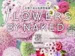 20200130_event_flowers_naked_00