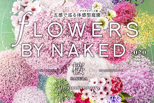 五感で楽しむ花の体感型アート展「FLOWERS BY NAKED 2020 ー桜ー（フラワーズ バイ ネイキッド 2020 ーサクラー）」が、2020年1月30日（木）〜3月1日（日）まで東京・日本橋三井ホールで開催！