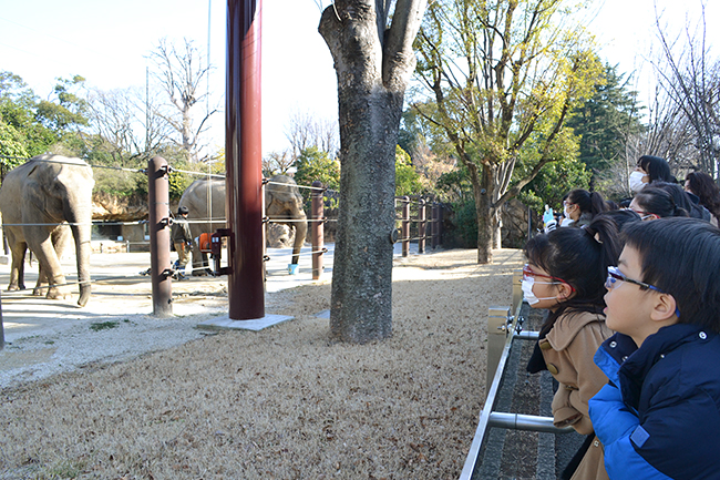 花粉の本格飛散時期を控えた2020年2月8日（土）、アイウエアブランドのJINS（ジンズ）は子どもたちに子供用花粉カットメガネ「JINS花粉CUT」の「KIDS&JUNIOR」を着けてもらい、開園前の上野動物園で動物たちを見学する「JINS presents 上野動物園特別ツアー」を実施！動物の生態や目、動物も花粉症になるのかなどについても学びました。