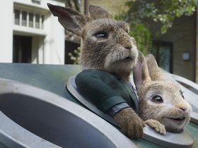 11006693 - Peter Rabbit 2