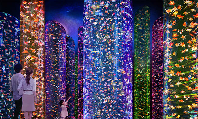 夏の風物詩として愛されてきた「アートアクアリウム」が、東京・日本橋の専用施設で常設展示、「アートアクアリウム美術館」として2020年8月にオープン！アートアクアリウム日本橋会場と比較して約3倍の広さ。3万匹超の金魚が泳ぐ “生命の宿る美術館”！