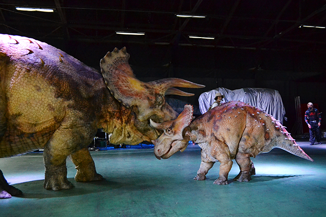 まるで恐竜のいた時代にタイムスリップしたかのような圧倒的な恐竜体験ができる大人気の「DINO SAFARI（ディノサファリ）“特別編”」が2021年4月24日（土）〜5月9日（日）渋谷ヒカリエで開催！ この恐竜、そして恐竜ライブショーを開発した株式会社ON-ARTの金丸賀也社長に、恐竜をつくりはじめたきっかけ、「ディノサファリ」のテーマパークなど今後の展開についてお話をお伺いしました！