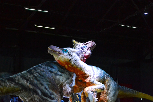 恐竜のいた時代にタイムスリップしたかのような恐竜体験ができる「DINO SAFARI（ディノサファリ）“特別編”」が、2021年4月24日（土）〜5月9日（日）のゴールデンウィークに渋谷ヒカリエで開催！公演を2週間後に控えた4月16日（金）稽古の様子を取材、その様子をレポート！