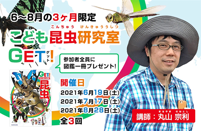 KADOKAWAから2021年5月28日（金）に第1弾が発売する学習図鑑シリーズ『角川の集める図鑑GET！』の創刊を記念して、人気昆虫学者・丸山宗利さんを先生に迎えた夏休み期間限定のオンラインゼミこども昆虫研究室ＧＥＴ！」を開催！参加者募集！