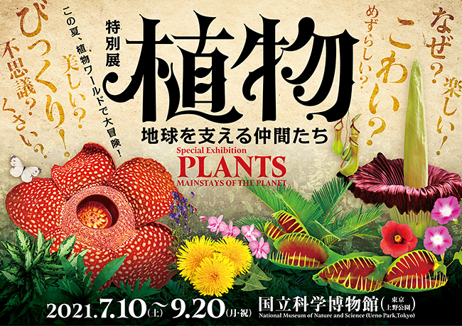特別展「植物　地球を支える仲間たち」が、2021年7月10日（土）～9月20日（月・祝）まで国立科学博物館で開催！食虫植物や多肉植物、「○○すぎる」珍妙な植物といったさまざまな観点から植物を総合的に紹介する、これまでにない大規模な展覧会です。