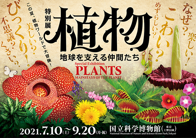 食虫植物や多肉植物、「○○すぎる」珍妙な植物といったさまざまな観点から植物を総合的に紹介する特別展「植物　地球を支える仲間たち」が2021年7月10日（土）～9月20日（月・祝）まで国立科学博物館で開催！開催を記念して特別展「植物　地球を支える仲間たち」の招待券をプレゼント！