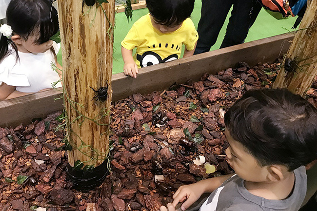 子どもに大人気の「かいけつゾロリ」が昆虫展とコラボレーション！「かいけつゾロリ わくわく昆虫展！」が2021年7月17日（土）〜8月29日（日）まで横浜赤レンガ倉庫で開催！この夏、ゾロリたちと一緒に昆虫の世界を冒険！黄金のクワガタを探しに行こう！