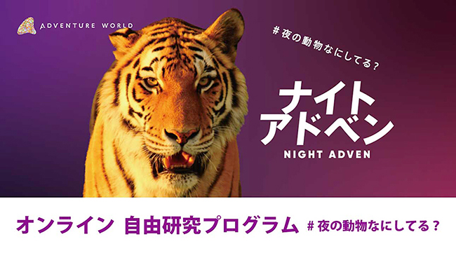 アドベンチャーワールド（和歌山県白浜町）は2021年7月22日（木）～8月23日（月）「#夜の動物なにしてる？ ナイトアドベン オンライン自由研究プログラム」を配信！ナマケモノ、アルマジロ、アムールトラが夜を過ごす様子を映像やライブ中継を交えて紹介！