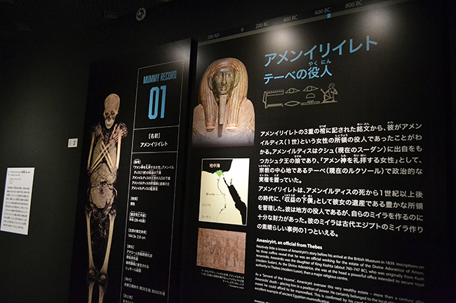 大英博物館が選りすぐりの6体のミイラと貴重な遺物を展示する特別展「大英博物館ミイラ展　古代エジプト6つの物語」が2022年1月12日（水）まで国立科学博物館で開催！名もなき6人の古代エジプト人の生涯に科学とエジプト学の双方から迫る！特別展「大英博物館ミイラ展　古代エジプト6つの物語」に行っていた体験レポート！