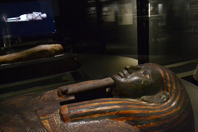 大英博物館が選りすぐりの6体のミイラと貴重な遺物を展示する特別展「大英博物館ミイラ展　古代エジプト6つの物語」が2022年1月12日（水）まで国立科学博物館で開催！名もなき6人の古代エジプト人の生涯に科学とエジプト学の双方から迫る！特別展「大英博物館ミイラ展　古代エジプト6つの物語」に行っていた体験レポート！