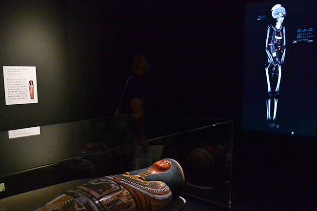 大英博物館が選りすぐりの6体のミイラと貴重な遺物を展示する特別展「大英博物館ミイラ展　古代エジプト6つの物語」が2022年1月12日（水）まで国立科学博物館で開催！名もなき6人の古代エジプト人の生涯に科学とエジプト学の双方から迫る！特別展「大英博物館ミイラ展　古代エジプト6つの物語」に行っていた体験レポート！