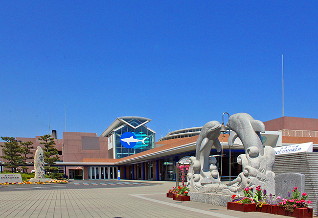 2022年に開館20周年を迎えるアクアワールド茨城県大洗水族館は、2021年12月11日（土）から2022年3月31日（木）まで、開館20周年記念事業として人気アニメ『ワンピース』とのイベント企画「ワンピース BIG WASH島の大冒険！ IN アクアワールド・大洗」を開催！