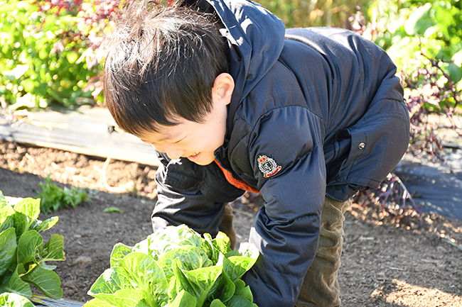 キユーピー株式会社は野菜の魅力を体験できる複合型施設「深谷テラス ヤサイな仲間たちファーム」を、2022年5月29日（日）にオープン！“野菜にときめく、好きになる！ みんなの笑顔を育むファーム”をコンセプトに、収穫体験やマルシェ、野菜教室などを実施。