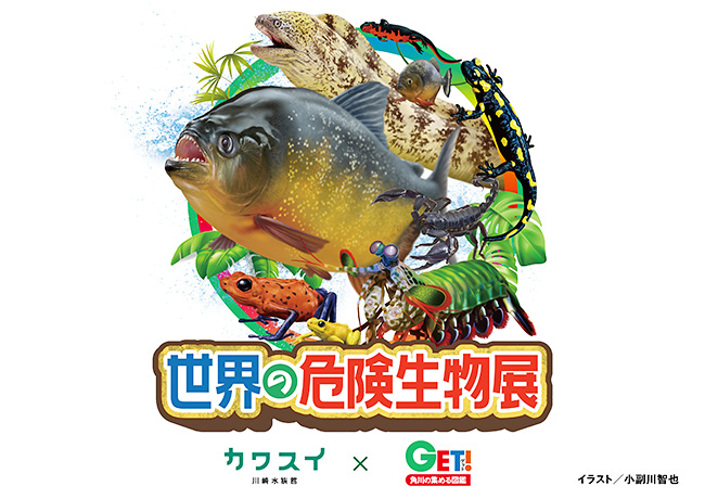 特別企画展示『カワスイ×「角川の集める図鑑GET！」世界の危険生物展』が、2022年4月22日（金）～2022年6月30日（木）カワスイ 川崎水族館で開催！世界の水辺に生息している危険生物たちを「角川の集める図鑑GET！」と同様のリアルテイストの描きおろしイラストで紹介！