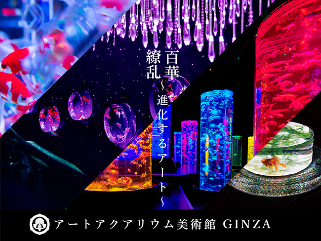 アクアリウム「アートアクアリウム美術館 GINZA」の画像