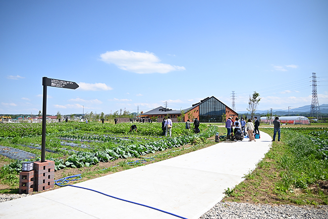 キユーピーの野菜の魅力を体験できる複合型施設「深谷テラス ヤサイな仲間たちファーム」が2022年5月29日（日）にオープン！深谷テラスに行ってきた！「体験農園」で収穫体験、マルシェ、レストラン、深谷テラス ヤサイな仲間たちファーム体験レポート！