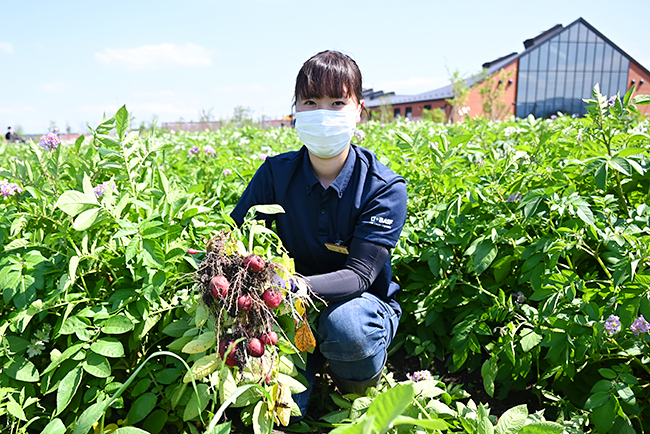 キユーピーの野菜の魅力を体験できる複合型施設「深谷テラス ヤサイな仲間たちファーム」が2022年5月29日（日）にオープン！深谷テラスに行ってきた！「体験農園」で収穫体験、マルシェ、レストラン、深谷テラス ヤサイな仲間たちファーム体験レポート！