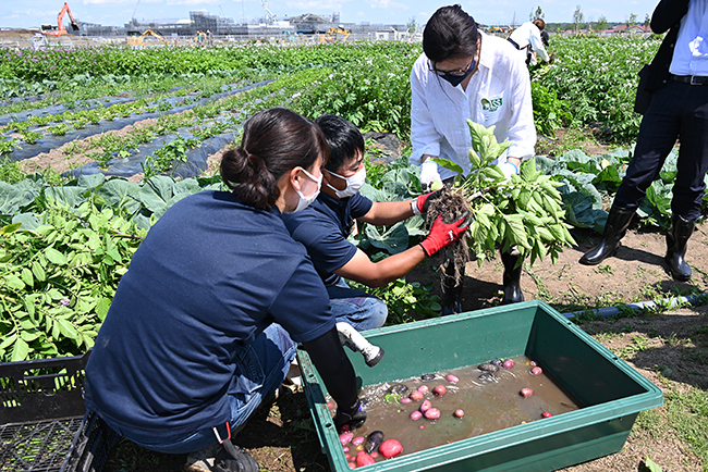 キユーピーの野菜の魅力を体験できる複合型施設「深谷テラス ヤサイな仲間たちファーム」が2022年5月29日（日）にオープン！深谷テラスに行ってきた！「体験農園」で収穫体験、マルシェ、レストラン、深谷テラス ヤサイな仲間たちファーム体験レポート！