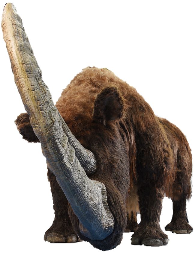 著名な化石ハンター、ロイ・チャップマン・アンドリュースの中央アジア探検100周年を記念した特別展「化石ハンター展 ～ゴビ砂漠の恐竜とヒマラヤの超大型獣～」が2022年7月16日（土）〜10月10日（月・祝）国立科学博物館で開催！チベットケサイ全身骨格復元標本を世界初公開！