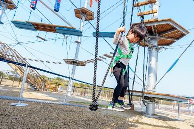 日本一の歩行者専用吊橋「三島スカイウォーク」を運営する株式会社フジコーは2022年8月（予定）、世界遺産 富士山の眼下、史跡・山中城址公園隣接地に高さ18メートル、幅32メートルの六角柱の巨大なスポーツアトラクションタワー「ドラゴンキャッスル」をオープン！