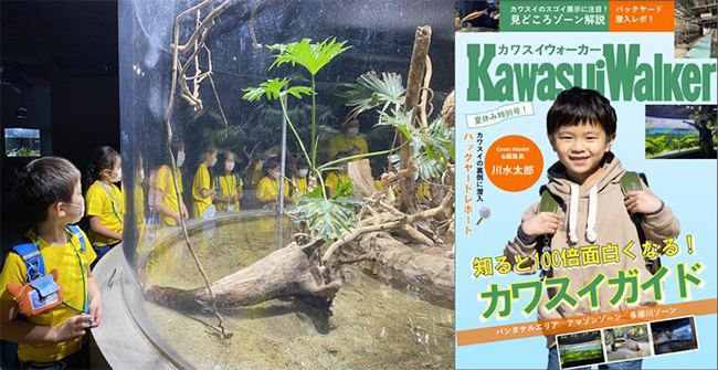 カワスイ 川崎水族館では夏休みの2022年8月4日（木）～6日（土）に『カワスイ サマースクール』を開催！子どもたちは編集者になりカワスイ館内やバックヤード、飼育担当者へ取材しオリジナル雑誌「Kawasui Walker」を制作。聞く力伝える力を育み夏休みの自由研究にもぴったり！