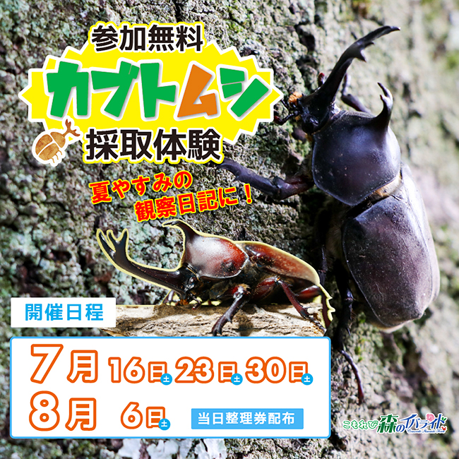 茨城県稲敷市にある体験型農業公園「こもれび森のイバライド」では、2022年7月16日（土）より夏休みの自由研究にぴったりな「参加無料のカブトムシ採取体験」を開催！採取したカブトムシは持ち帰ることができ、観察日記など夏休みの自由研究にもぴったり！