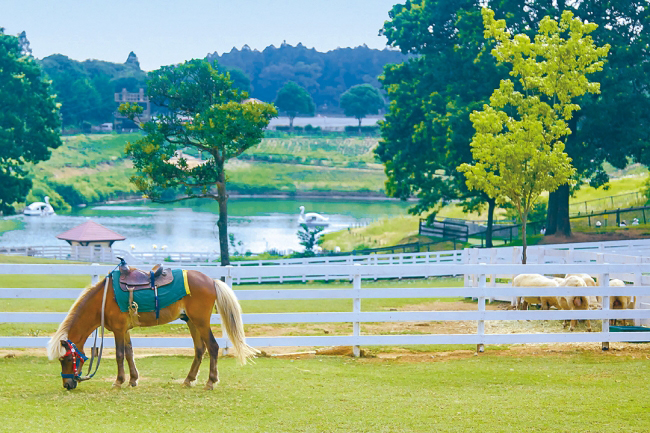 茨城県稲敷市にある体験型農業公園「こもれび森のイバライド」では、2022年7月16日（土）より夏休みの自由研究にぴったりな「参加無料のカブトムシ採取体験」を開催！採取したカブトムシは持ち帰ることができ、観察日記など夏休みの自由研究にもぴったり！