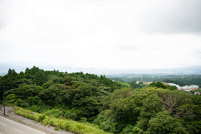 日本一の歩行者専用吊橋「三島スカイウォーク」からクルマで約3分、静岡県・三島の山中城址公園の隣接地に2022年8月8日（月）、巨大なアスレチックタワー『ドラゴンキャッスル』がオープン！ ドラゴンキャッスル体験レポート！三島スカイウォーク体験レポート！