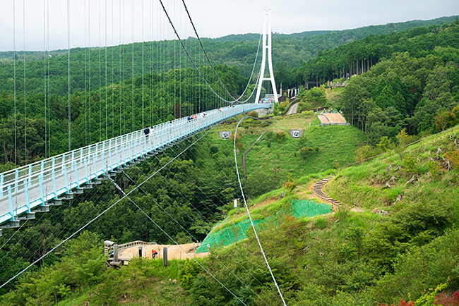 日本一の歩行者専用吊橋「三島スカイウォーク」からクルマで約3分、静岡県・三島の山中城址公園の隣接地に2022年8月8日（月）、巨大なアスレチックタワー『ドラゴンキャッスル』がオープン！ ドラゴンキャッスル体験レポート！三島スカイウォーク体験レポート！