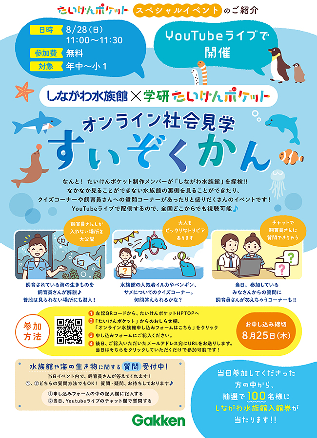 サメの歯のひみつや飼育員さんしか入れない場所を見ることができる「しながわ水族館×たいけんポケット　オンライン社会見学　みんなでたいけん　すいぞくかん」が、2022年8月28日（日）11時よりYouTubeライブで開催！参加無料！ただいま参加者募集中！