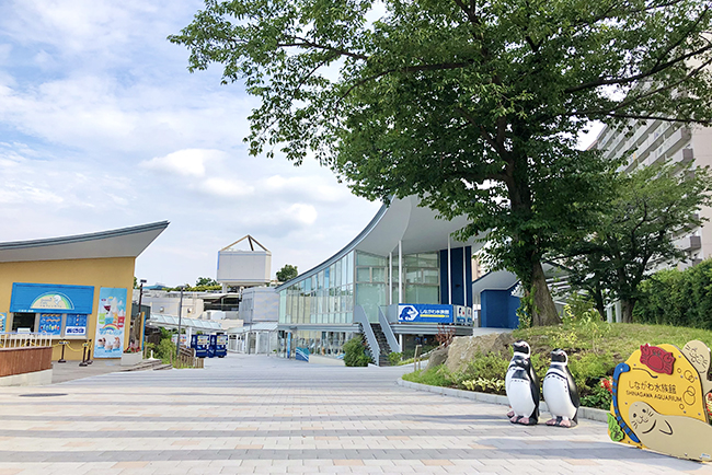 サメの歯のひみつや飼育員さんしか入れない場所を見ることができる「しながわ水族館×たいけんポケット　オンライン社会見学　みんなでたいけん　すいぞくかん」が、2022年8月28日（日）11時よりYouTubeライブで開催！参加無料！ただいま参加者募集中！