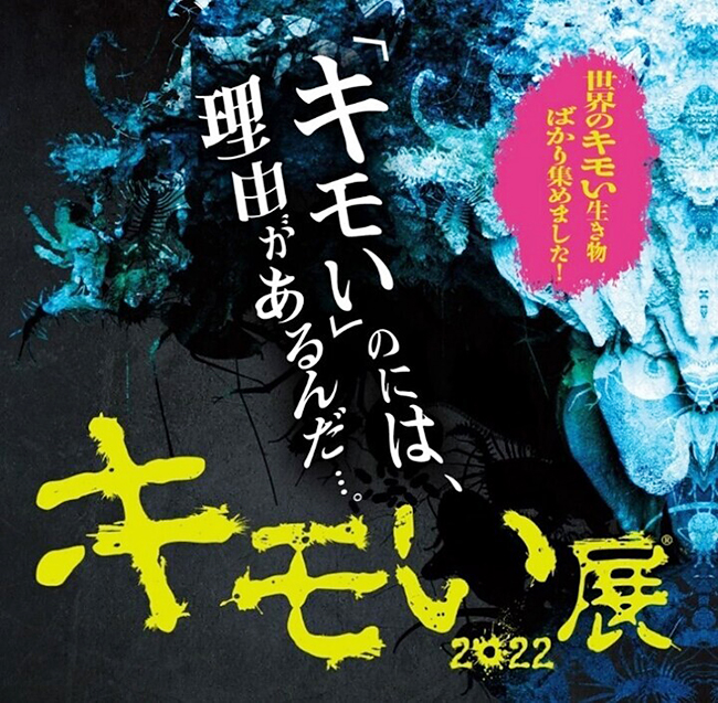 全国各地で開催され累計来場者数50万人を突破した大人気イベント「キモい展2022 in 横浜」が2022年9月17日（土）〜10月30日（日）MARK IS みなとみらいで開催！世界中から見たことのないような奇妙な姿をした生き物約30種を集め展示！