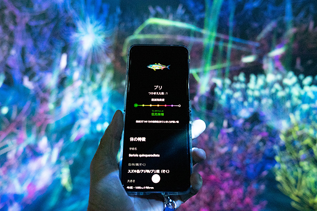 スマホでさまざまな海の生き物を捕まえ、観察し、図鑑をつくることができる学びの展覧会「Galaxy ＆ チームラボ：捕まえて集める恵みの海」が2022年9月29日（木）よりGalaxy Harajukuにオープン！捕まえて集める恵みの海の体験レポート！