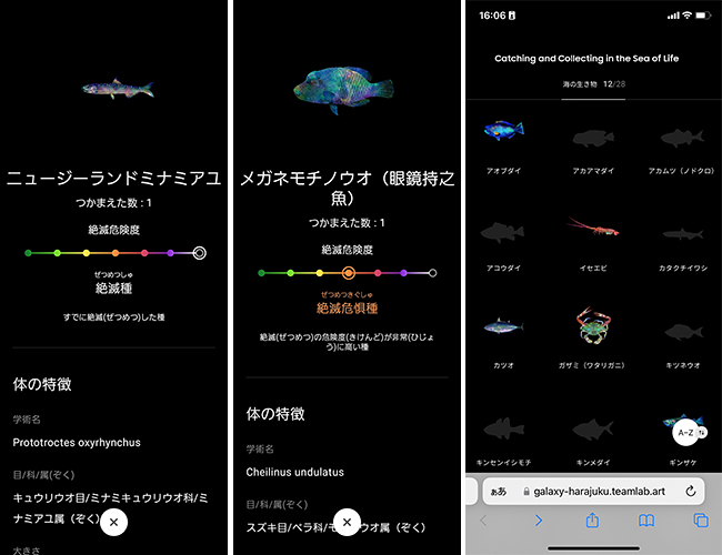 スマホでさまざまな海の生き物を捕まえ、観察し、図鑑をつくることができる学びの展覧会「Galaxy ＆ チームラボ：捕まえて集める恵みの海」が2022年9月29日（木）よりGalaxy Harajukuにオープン！捕まえて集める恵みの海の体験レポート！