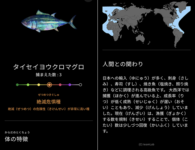 スマホでさまざまな海の生き物を捕まえ、観察し、図鑑をつくることができる学びの展覧会「Galaxy ＆ チームラボ：捕まえて集める恵みの海」が2022年9月29日（木）よりGalaxy Harajukuにオープン！捕まえて集める恵みの海の体験レポート！