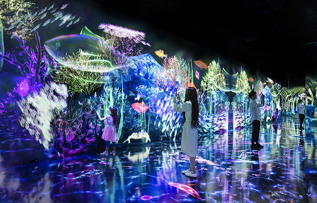 スマホで海の生き物を捕まえ、観察する学びのプロジェクト「Galaxy ＆ チームラボ：捕まえて集める恵みの海」が、2022年9月29日（木）よりGalaxy Harajuku（東京都渋谷区）にオープン！