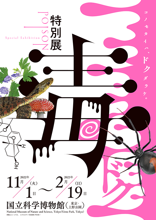 国立科学博物館は2022年11月1日（火）〜2023年2月19日（日）に特別展「毒」を開催！動物、植物、菌類、鉱物や人工毒など自然界に存在する「毒」について、動物学、植物学、地学、人類学、理工学など各研究部門のスペシャリストが徹底的に掘り下げます！