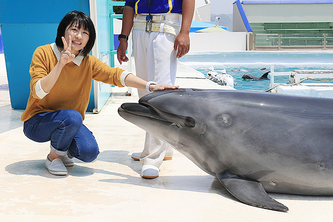 鴨川シーワールドがシャチとのふれあいをはじめ、動物とのふれあい体験を存分に楽しめる特別体験プログラム「満喫体験」を、2022年12月3日（土）・10日（土）・17日（土）の3日間限定で開催！水族館のバックヤードの見学も！