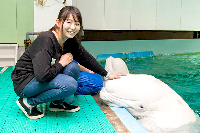 鴨川シーワールドがシャチとのふれあいをはじめ、動物とのふれあい体験を存分に楽しめる特別体験プログラム「満喫体験」を、2022年12月3日（土）・10日（土）・17日（土）の3日間限定で開催！水族館のバックヤードの見学も！