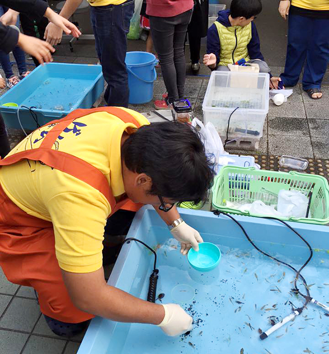 国内唯一の総合海洋系大学「東京海洋大学」の学園祭「海鷹祭」が2022年11月4日（金）～6日（日）、東京海洋大学 品川キャンパスで3年ぶりに対面開催！ ザリガニ釣り、海藻グッズ販売、グッピーすくいという、海洋大ならではのユニークな模擬店も必見！