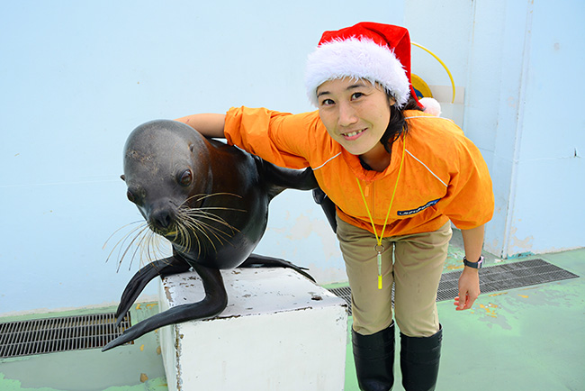 イルカやアザラシとクリスマス！しな水のクリスマス2022 | しながわ水族館 | 東京・品川