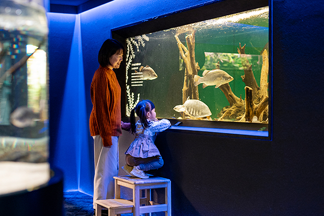 小さな子どもと楽しめるカワスイ 川崎水族館のサービスの写真