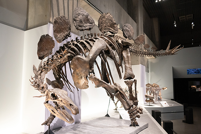 「恐竜博2023」（国立科学博物館）の感想・レポートの写真