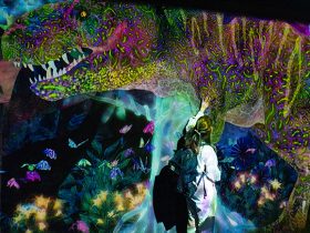 20230407_report_dinosaurforest_00