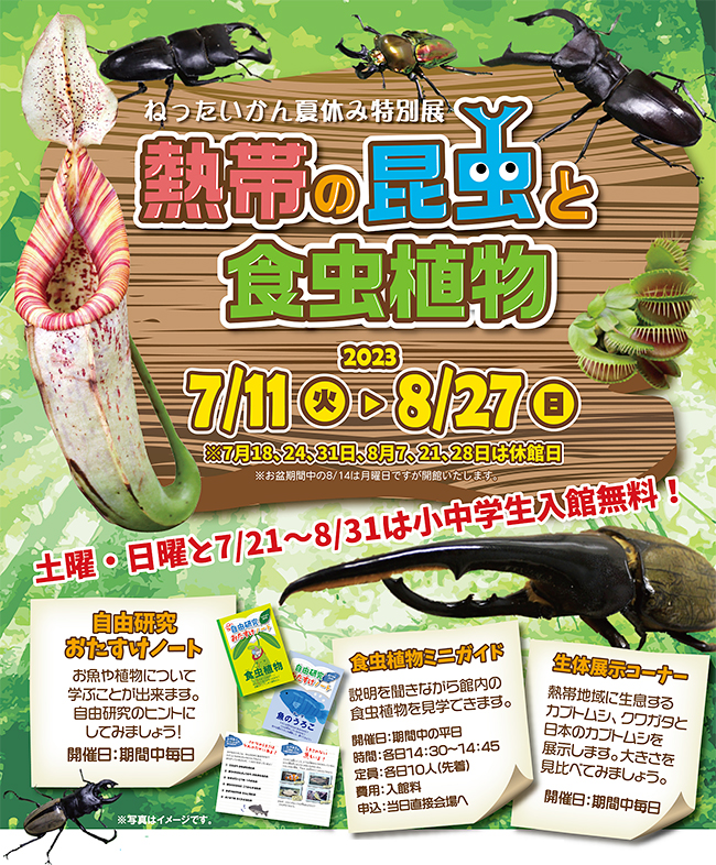 板橋区立熱帯環境植物館の夏休み特別展「熱帯の昆虫と食虫植物」のポスター