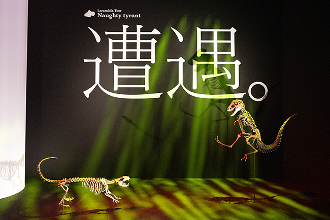 「DinoScience 恐竜科学博 2023@TOKYO MIDTOWN」体験レポートの写真