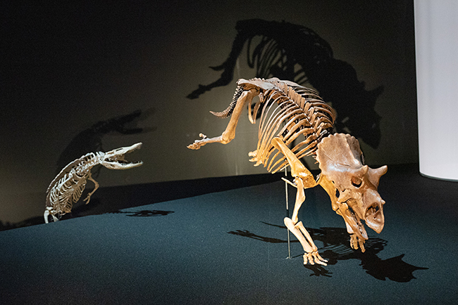 「DinoScience 恐竜科学博 2023@TOKYO MIDTOWN」体験レポートの写真