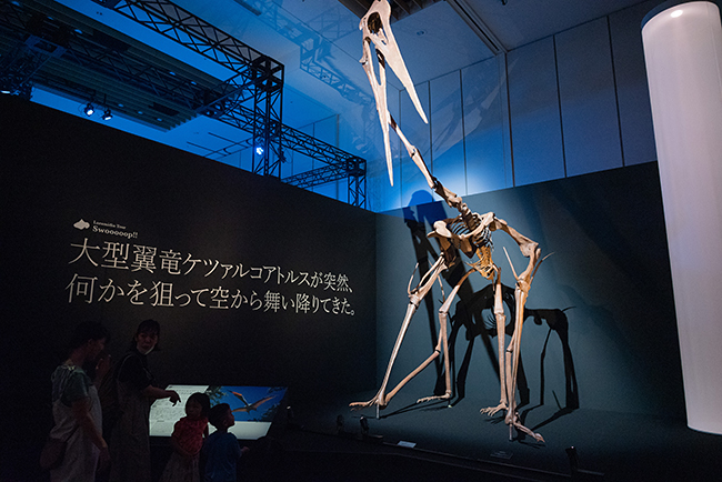 「DinoScience 恐竜科学博 2023@TOKYO MIDTOWN」体験レポートの写真